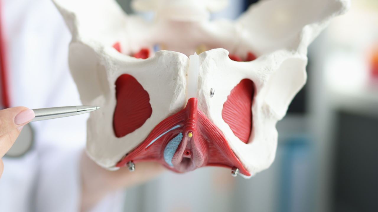 understanding pelvic pain and pelvic floor tension