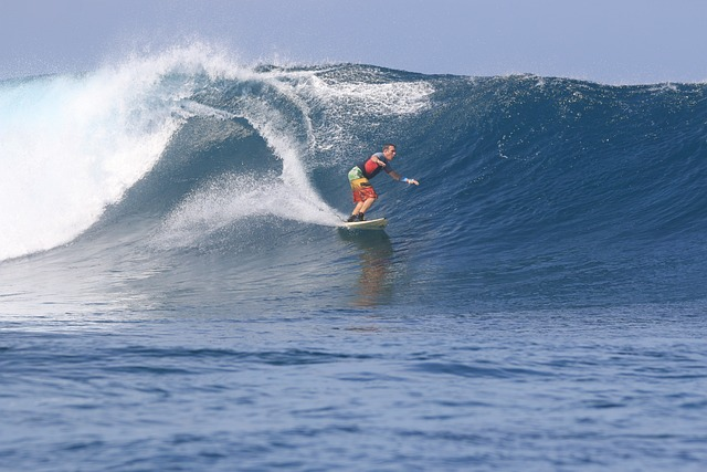 surf, surfing, wave
