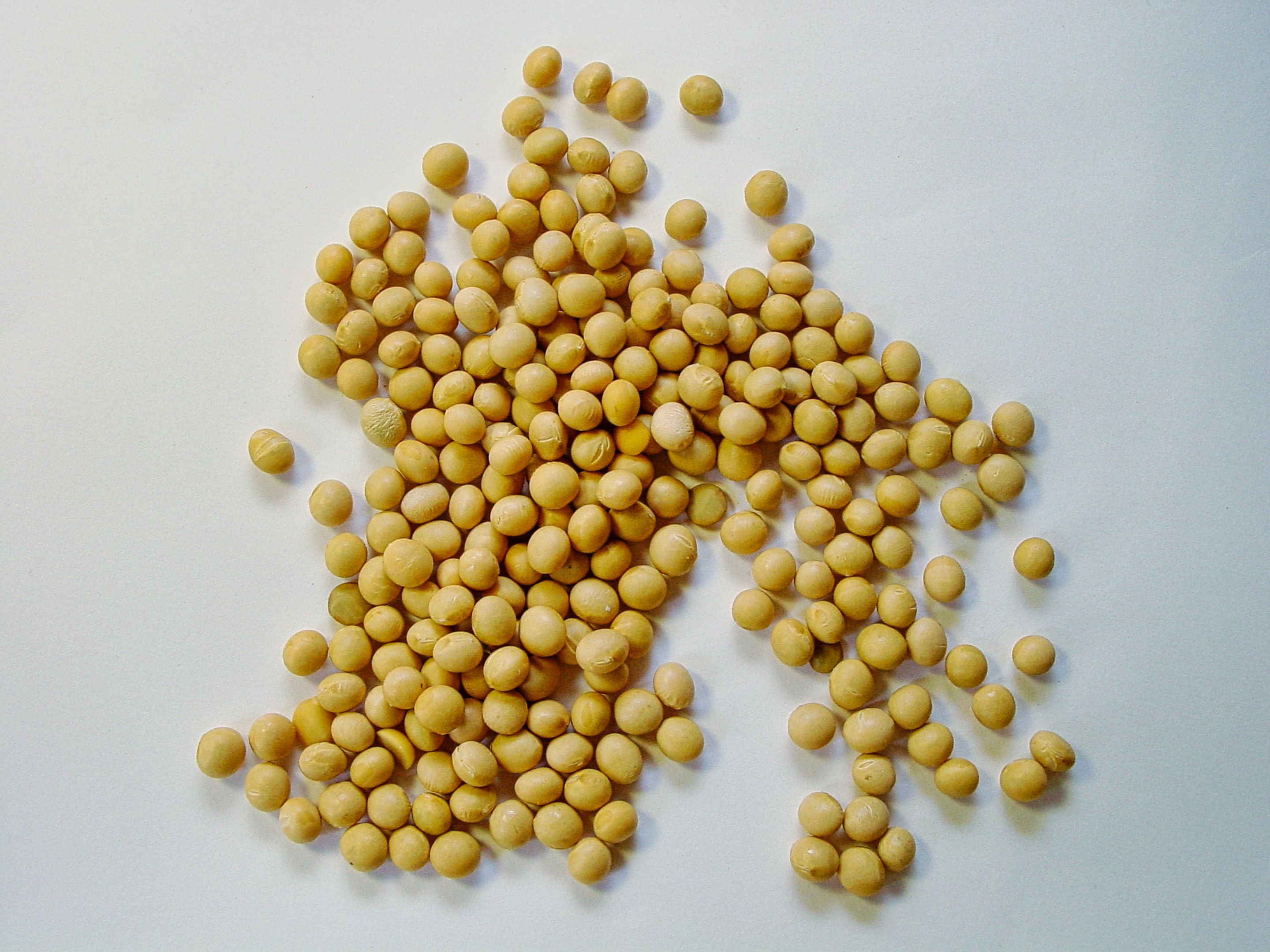 soy isoflavone supplements, animal protein, health benefits of soy, 