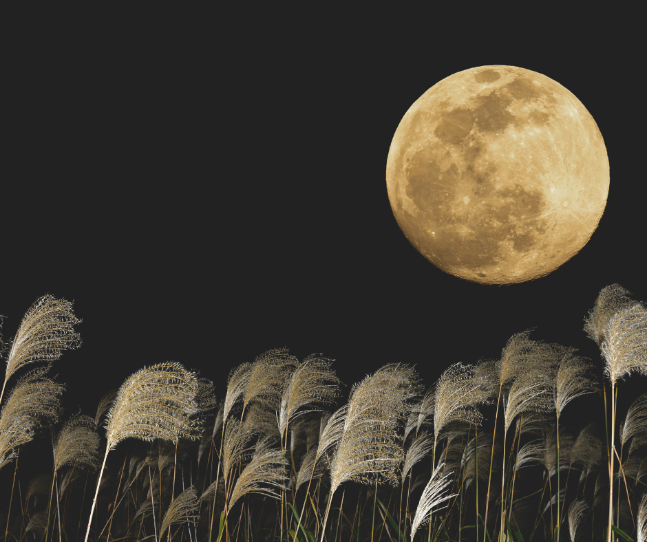 the harvest moon in the night sky during astronomical fall