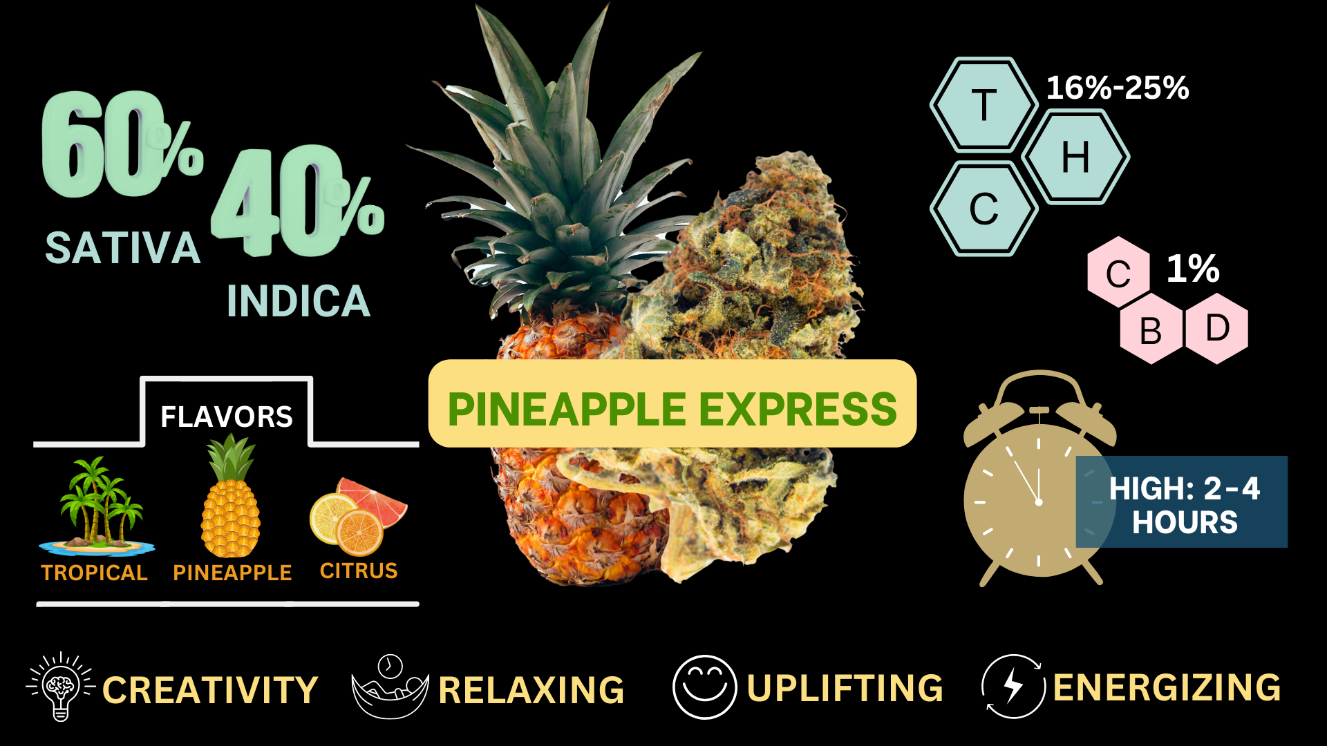visual graphics to show pineapple express strain THC and CBD percentages, 60 % sativa, 40% indica, flavors of tropical, pineapple and citrus, the high lasts 2-4 hours, and the strains effects are creativity, relaxing, uplighting and energizing