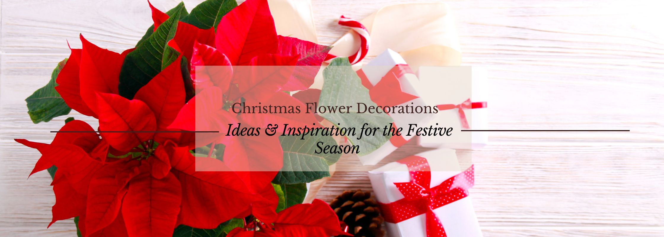 Christmas Flower Decorations - Ideas & Inspiration for the Festive Season from Olivieris Florist