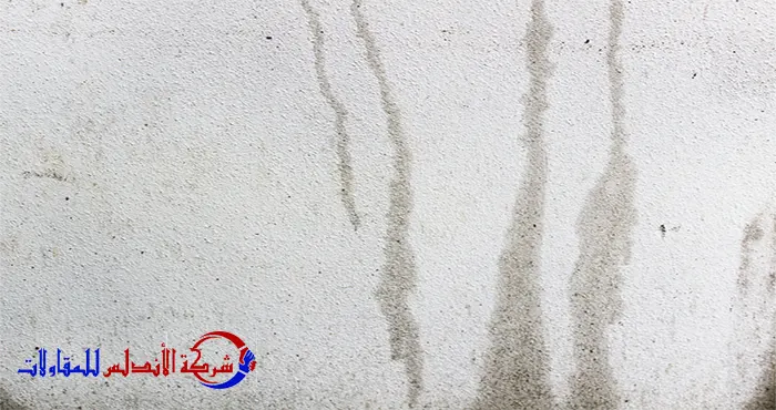  كشف تسربات المياه