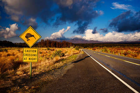 New Zealand Vacation,, Road sign, Kiwi crossing