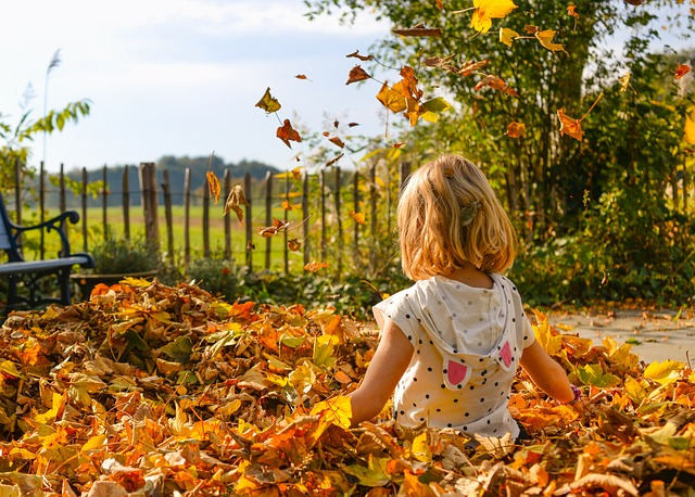 Dziecko bawi się jesiennymi liśćmi podczas spaceru