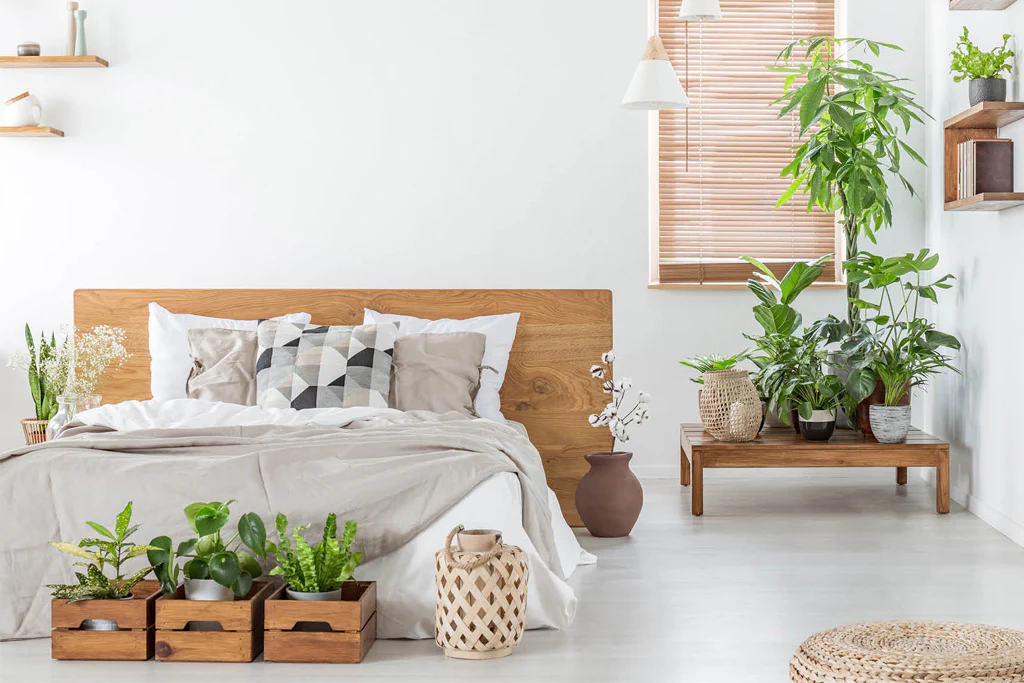 Integrating Plants into Your Sleep Routine