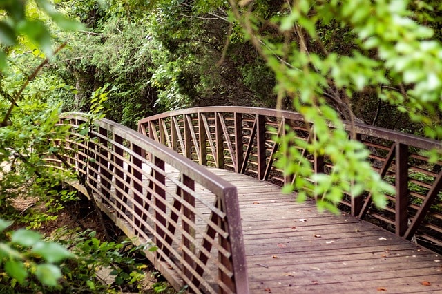 bridge, nature, summer, landscape, forest, pathway, walk, scenery, scenic, woods, trail, path, creek, green, hiking, trees