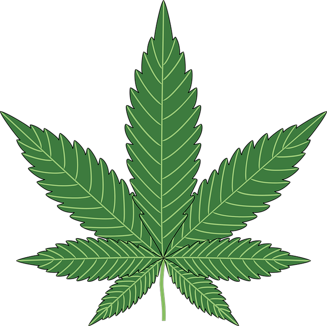 Female cannabis plants, cannabis research