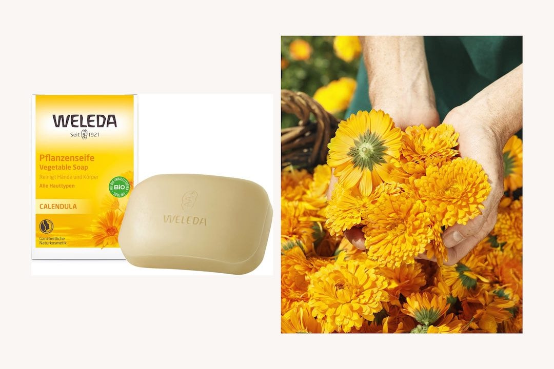 Naturseife-in-Bio-Qualität-Weleda