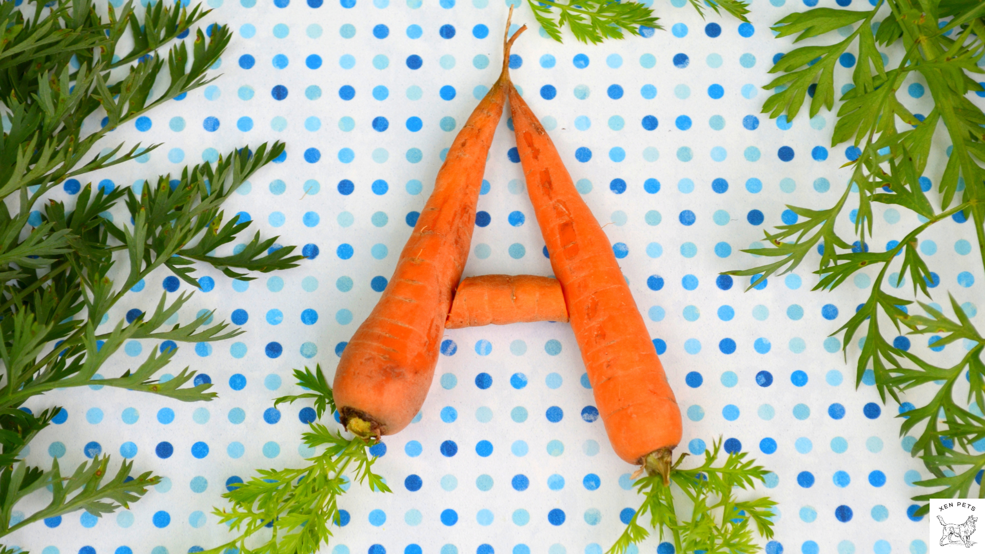 carrots have vitamin A