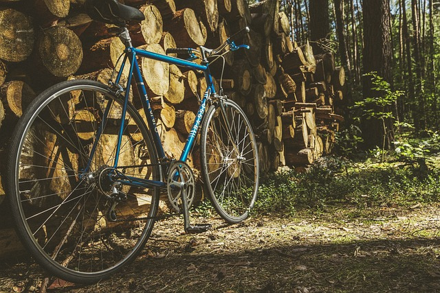 road bike, vintage, bicycle
