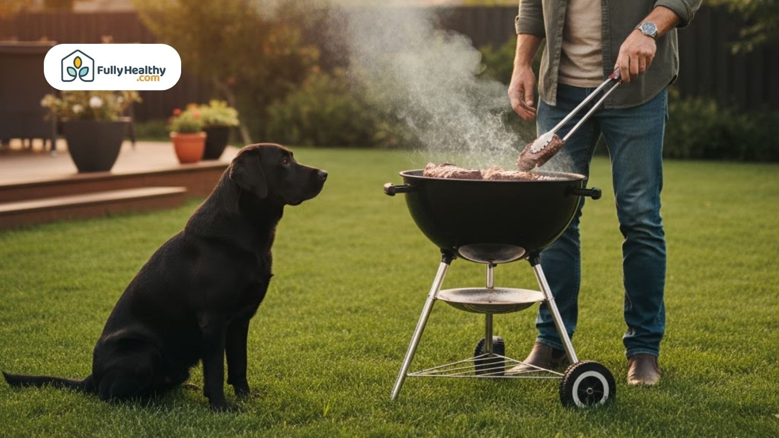 Dog sitting beside a grill while steak is being cooked outdoors during a backyard barbecue.