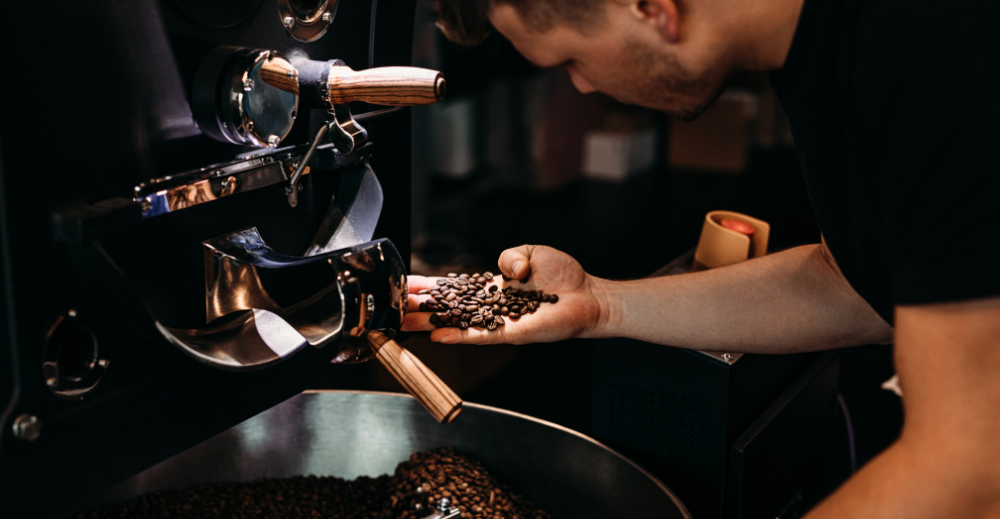 man checking roasted coffee beans