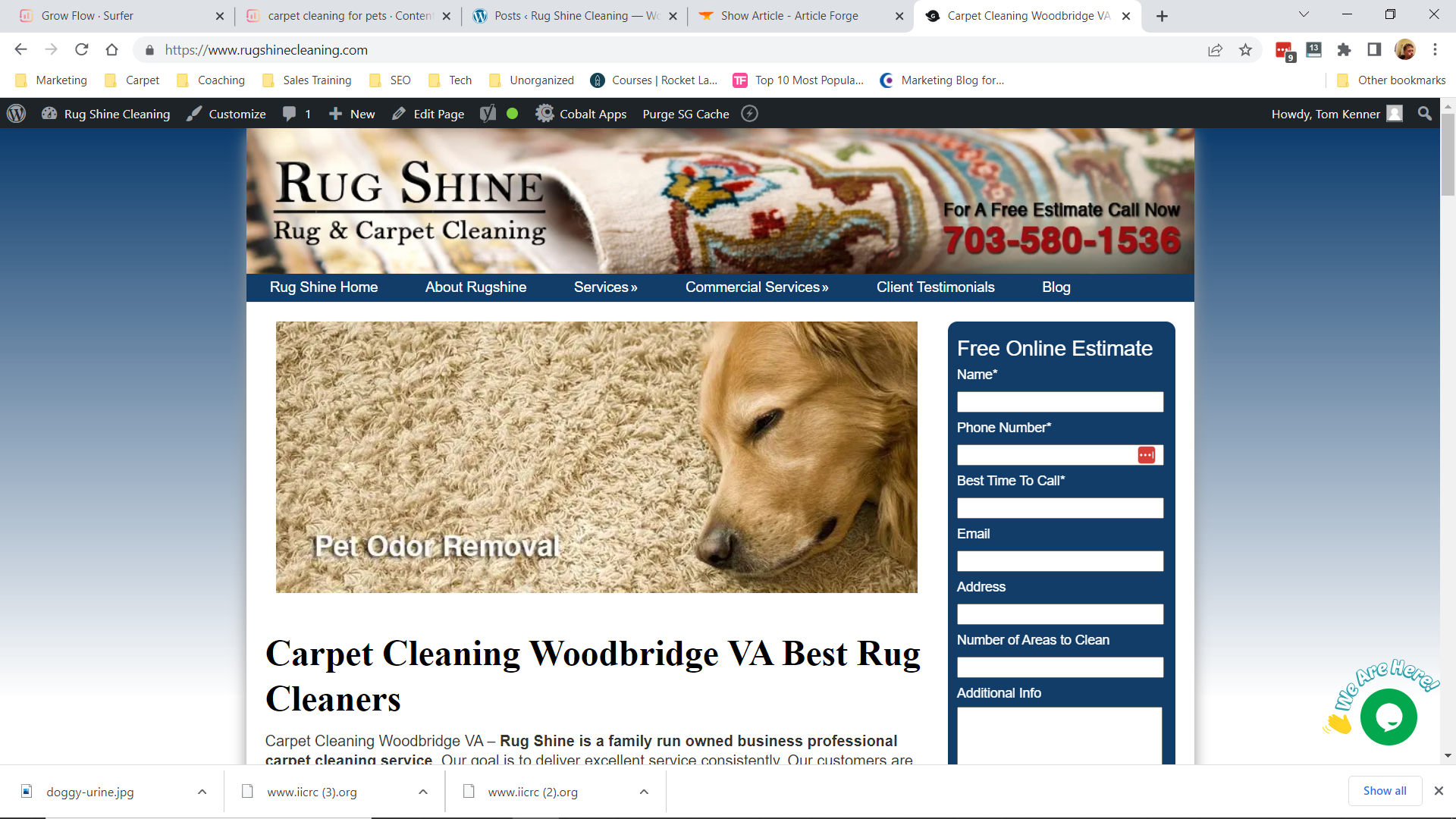 Rug Shine uses commercial carpet cleaning machines to remove debris, dust and spills.