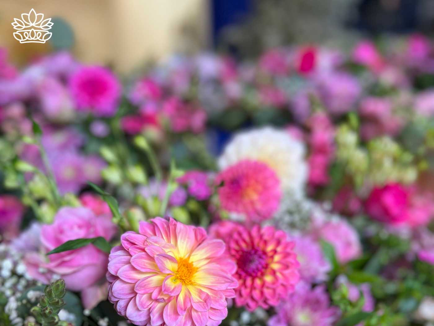 A delightful array of fresh pink dahlias and roses in soft focus, symbolising the blooming beauty of Fabulous Flowers and Gifts
