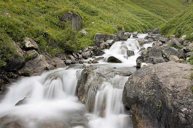 Creek Bed