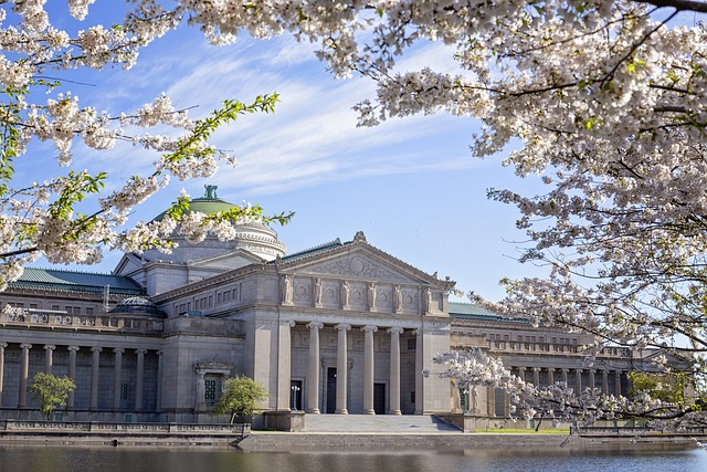 museum of science and industry, chicago, industry, Chicago, IL, river north neighborhood, investment properties in Chicago, IL, best neighborhoods for investing, tree lined streets, Chicago real estate, Chicago investment properties, investment property, real estate investing