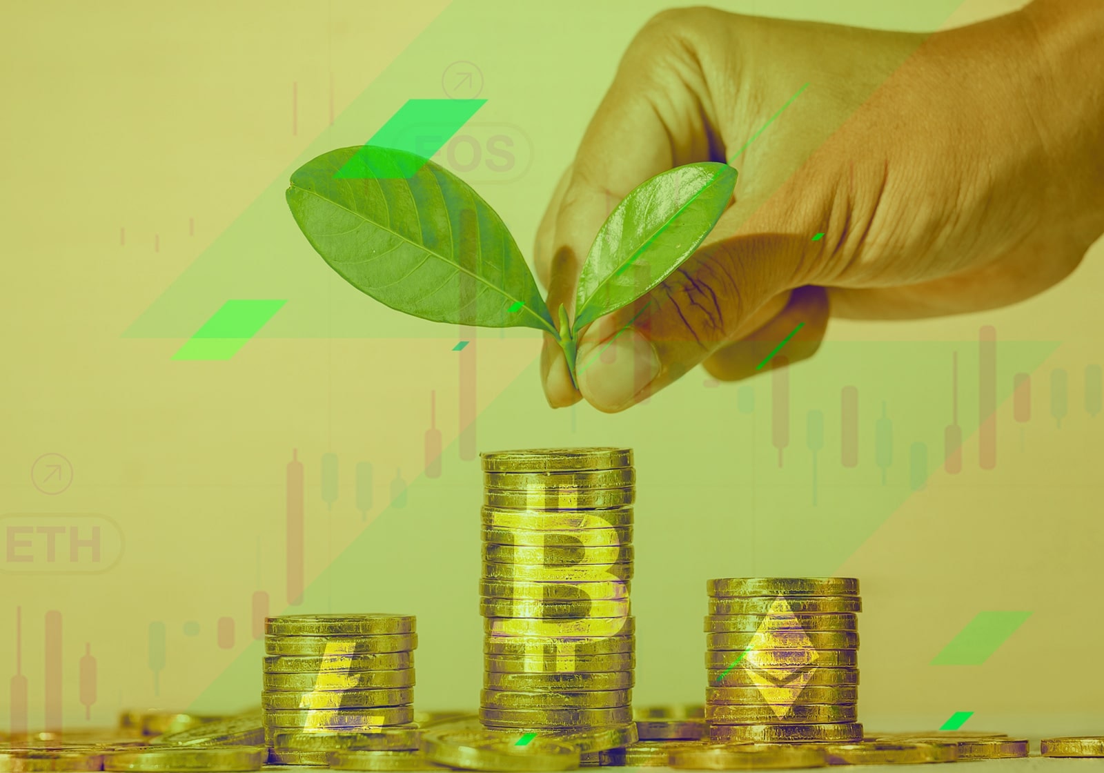 Long-term perspectives in investing, highlighted by planting a Bitcoin seed for growth. 