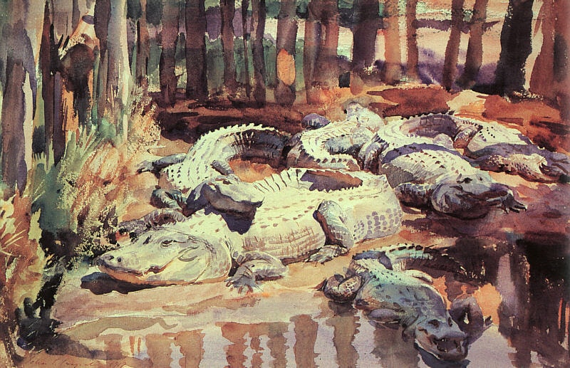 Muddy Alligators