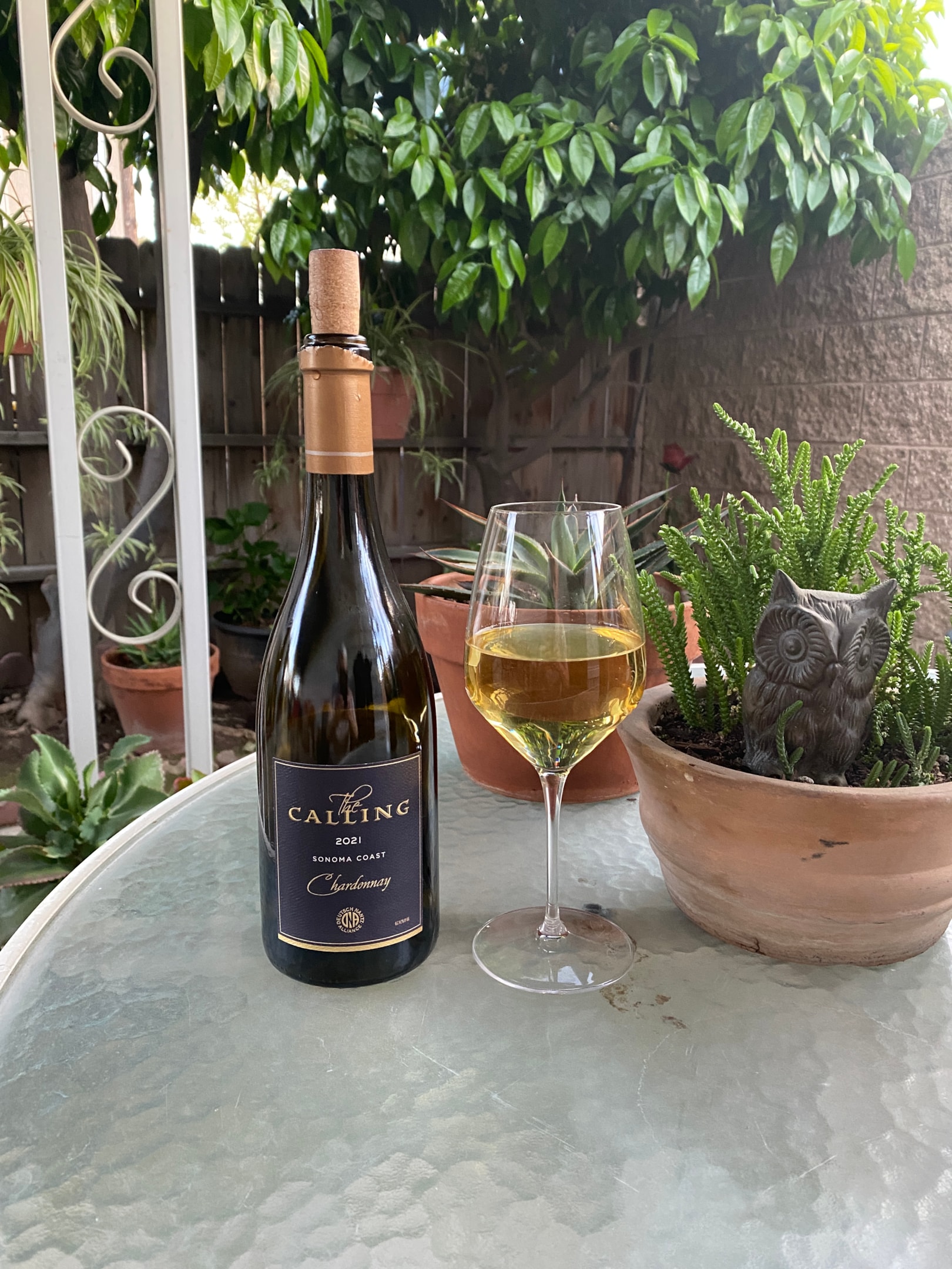 bottle & glass of wine on patio table