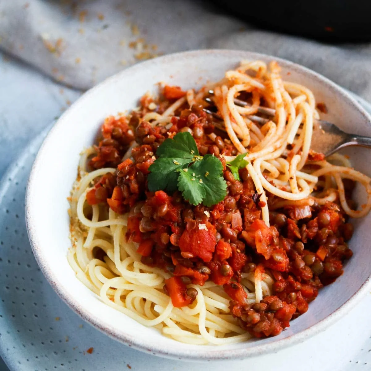 Basic Vegan Lentil Bolognese