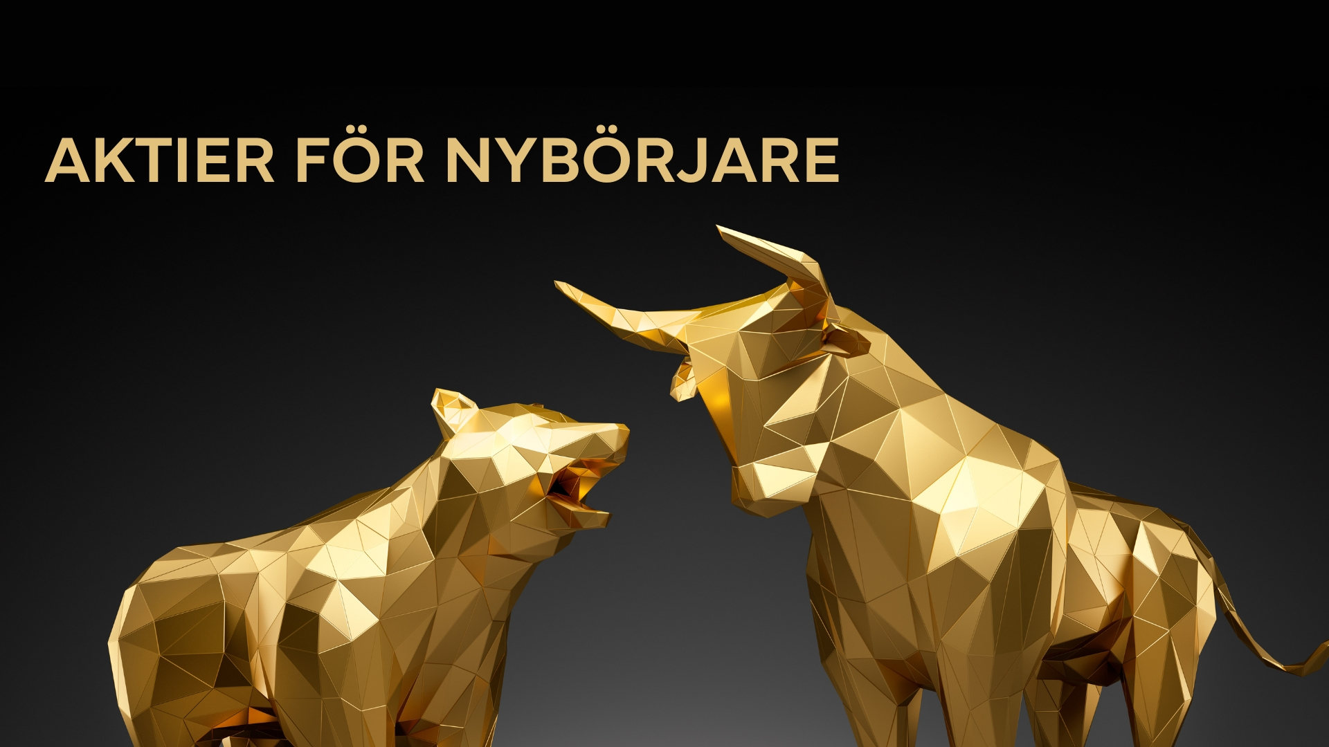 Aktier för nybörjare