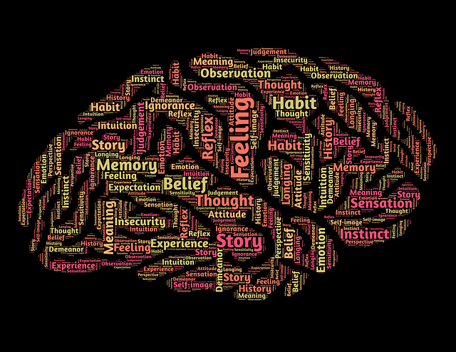 mind, brain, mindset, perception, intelligence, think, knowledge, conceptual, thinking, learning, identity, psychology, thought, neurons, ideas, creativity, black brain, black learning, black thinking, black mind, black think, black creative, black knowledge, black idea, black psychology, mind, mind, brain, brain, brain, brain, brain, knowledge, thinking, learning, learning, psychology