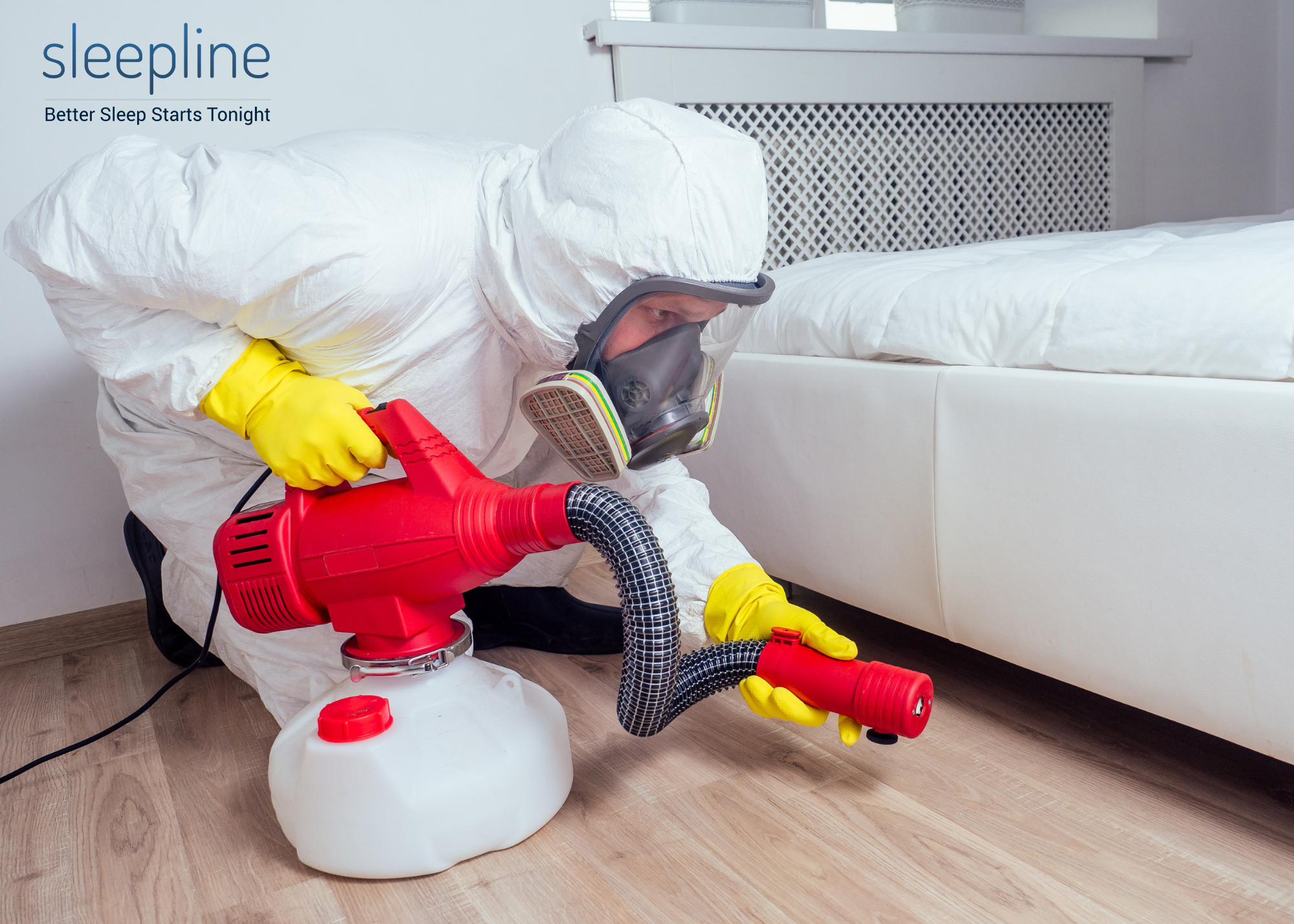 Using a vacuum to get rid of carpet beetles from a mattress