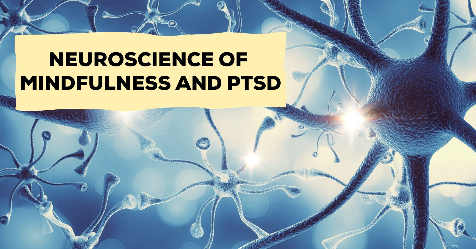 Neuroscience of Mindfulness and PTSD

Neurons on back side as a background