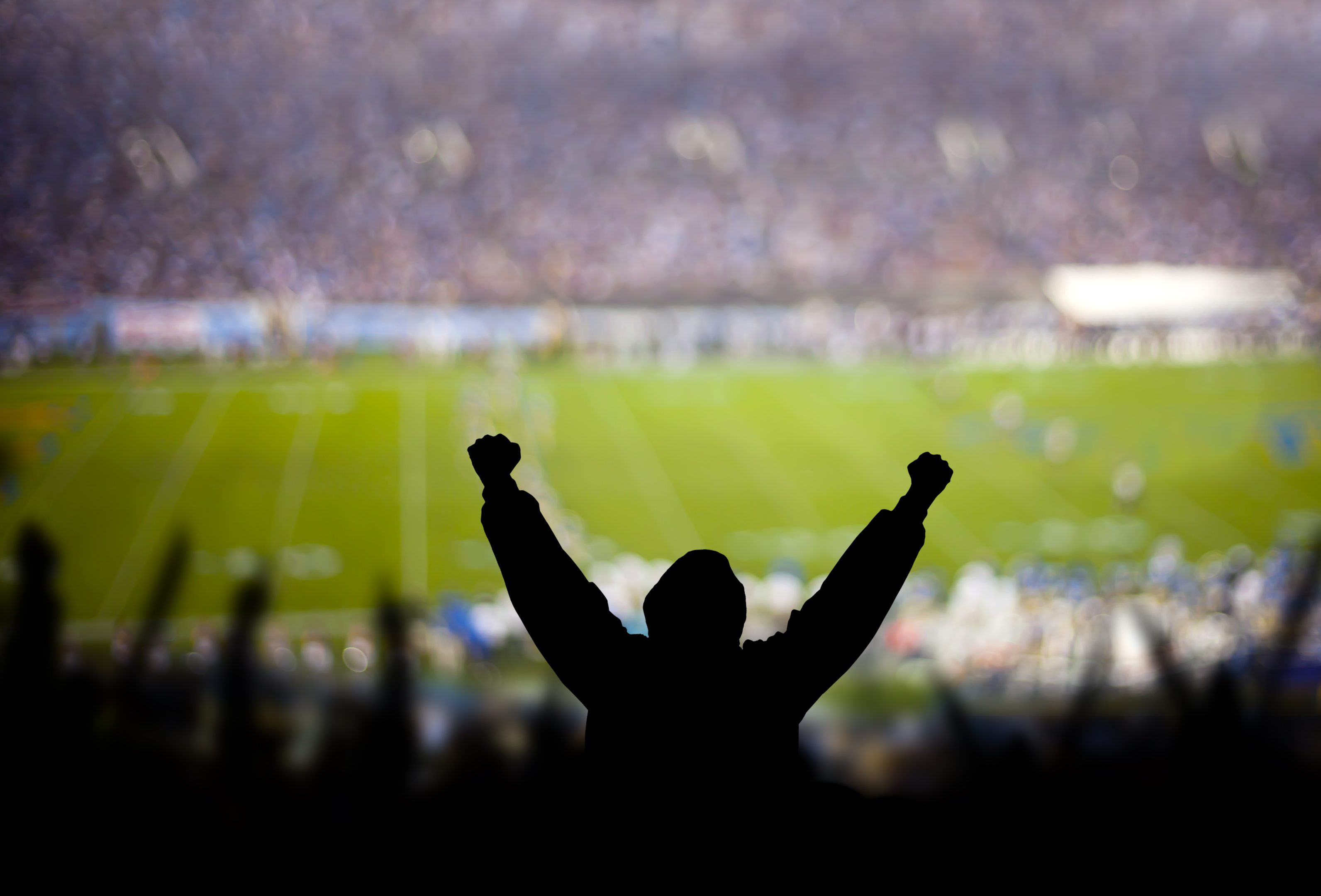 Fans excited at a football game