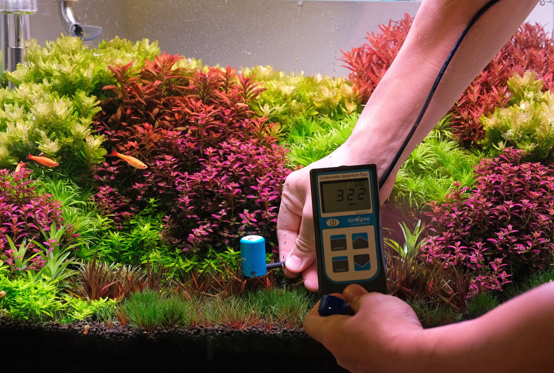 Taking PAR reading using a submerged probe in a freshwater Dutch Style aquarium