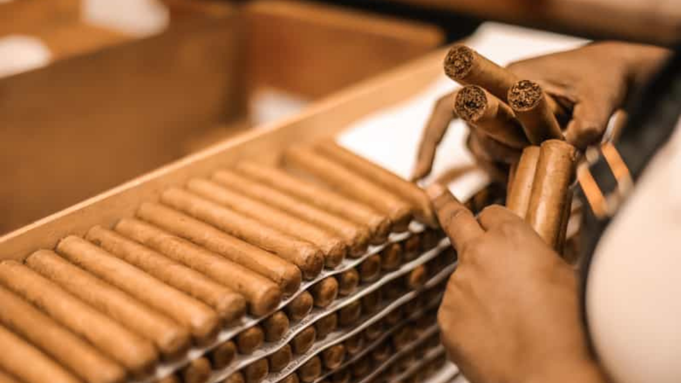 Construction, Blending, and Cigar Making Styles