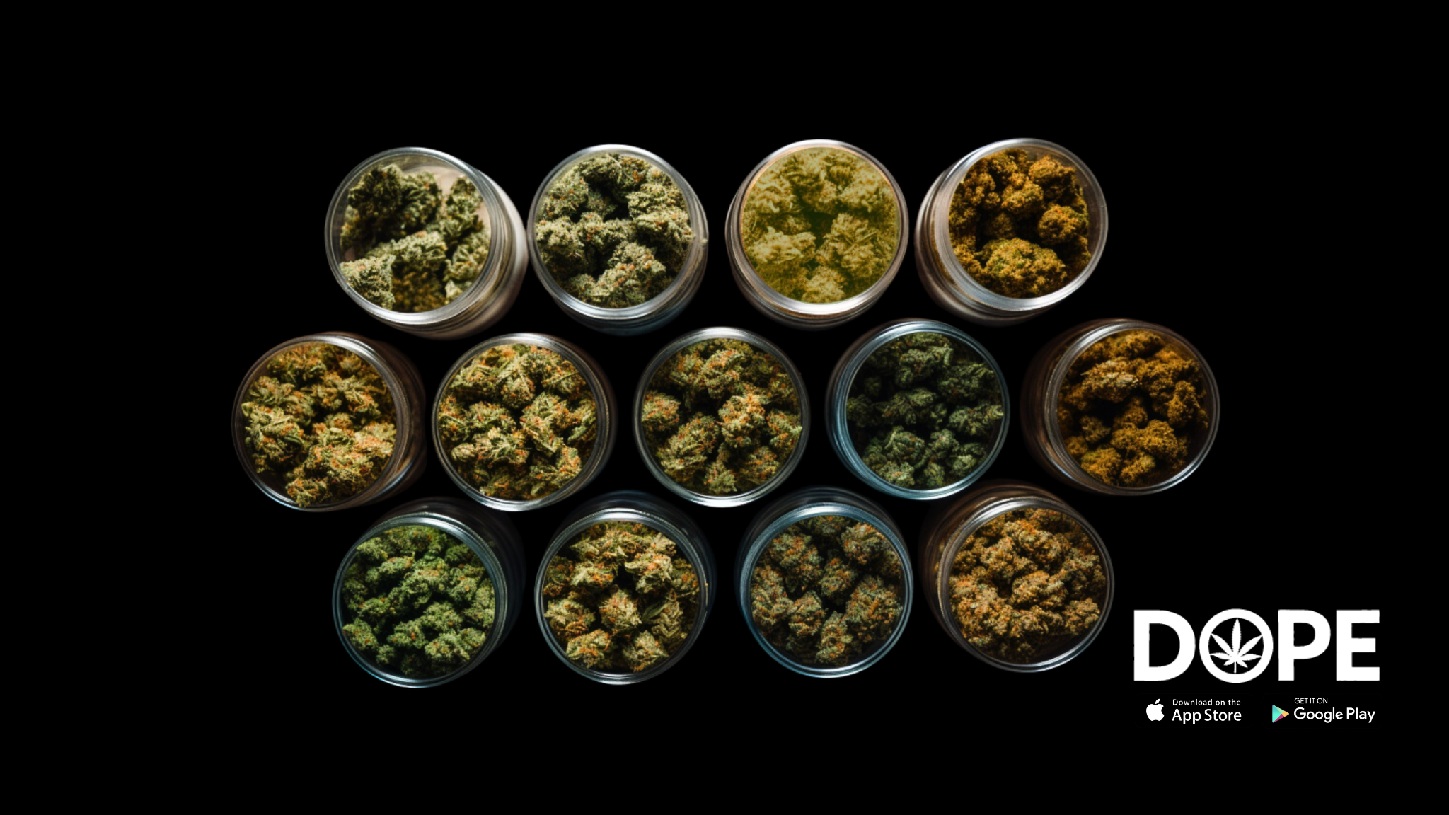 A selection of cannabis strains similar to Gorilla Cookies on a table.