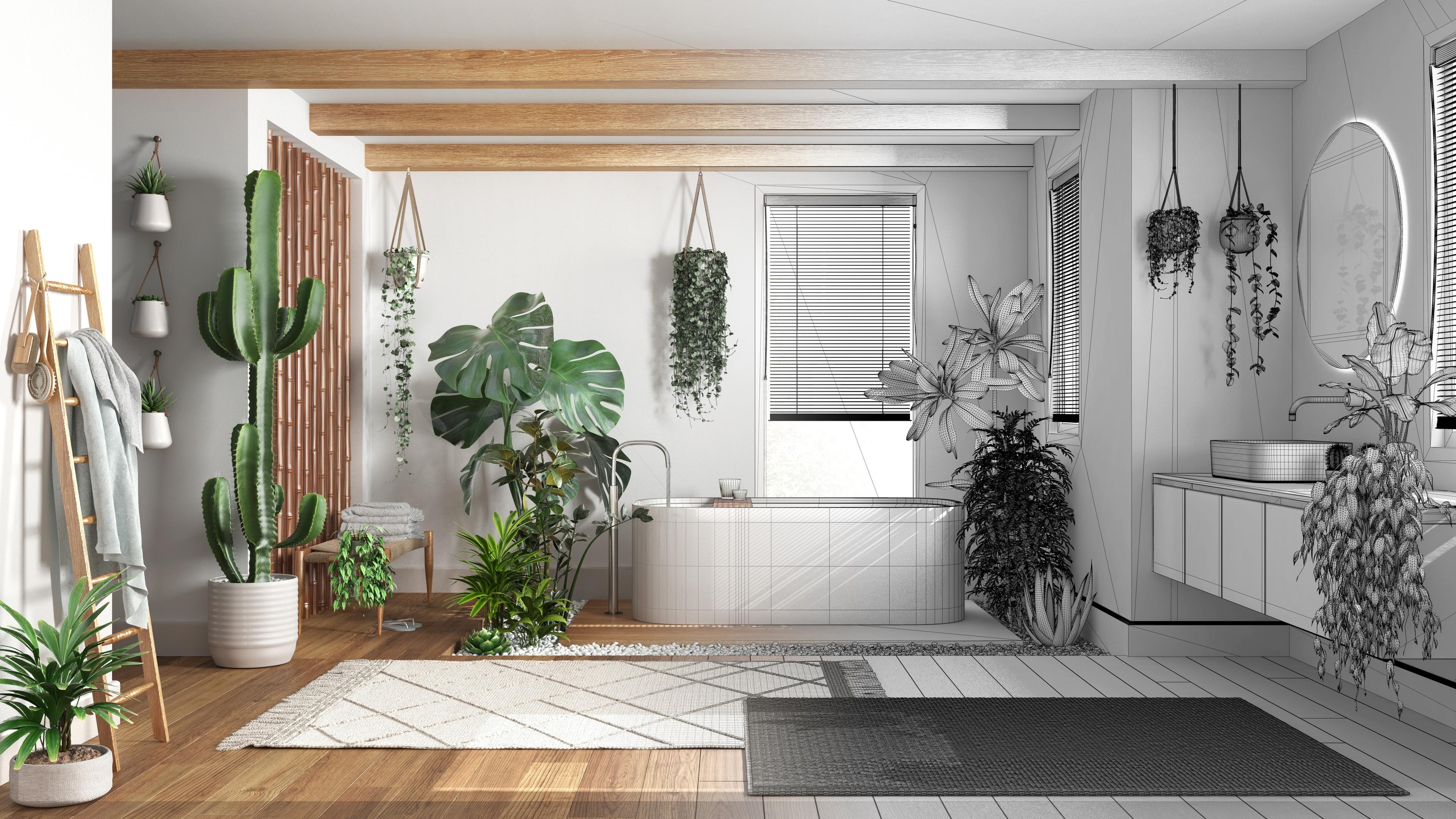 Biophilic design principles