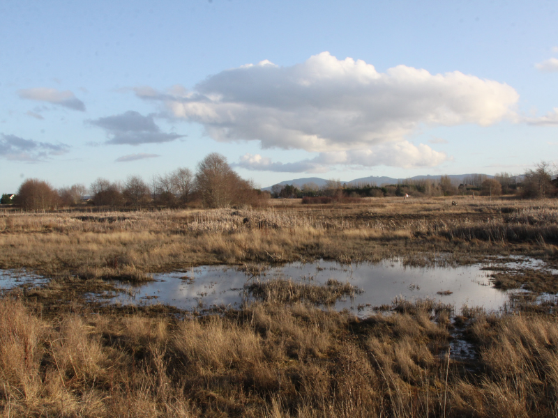 Land preservation is one of the main key ecological issue