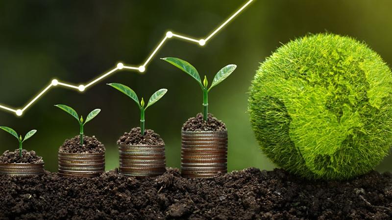 Energy Efficiency and Upgrades