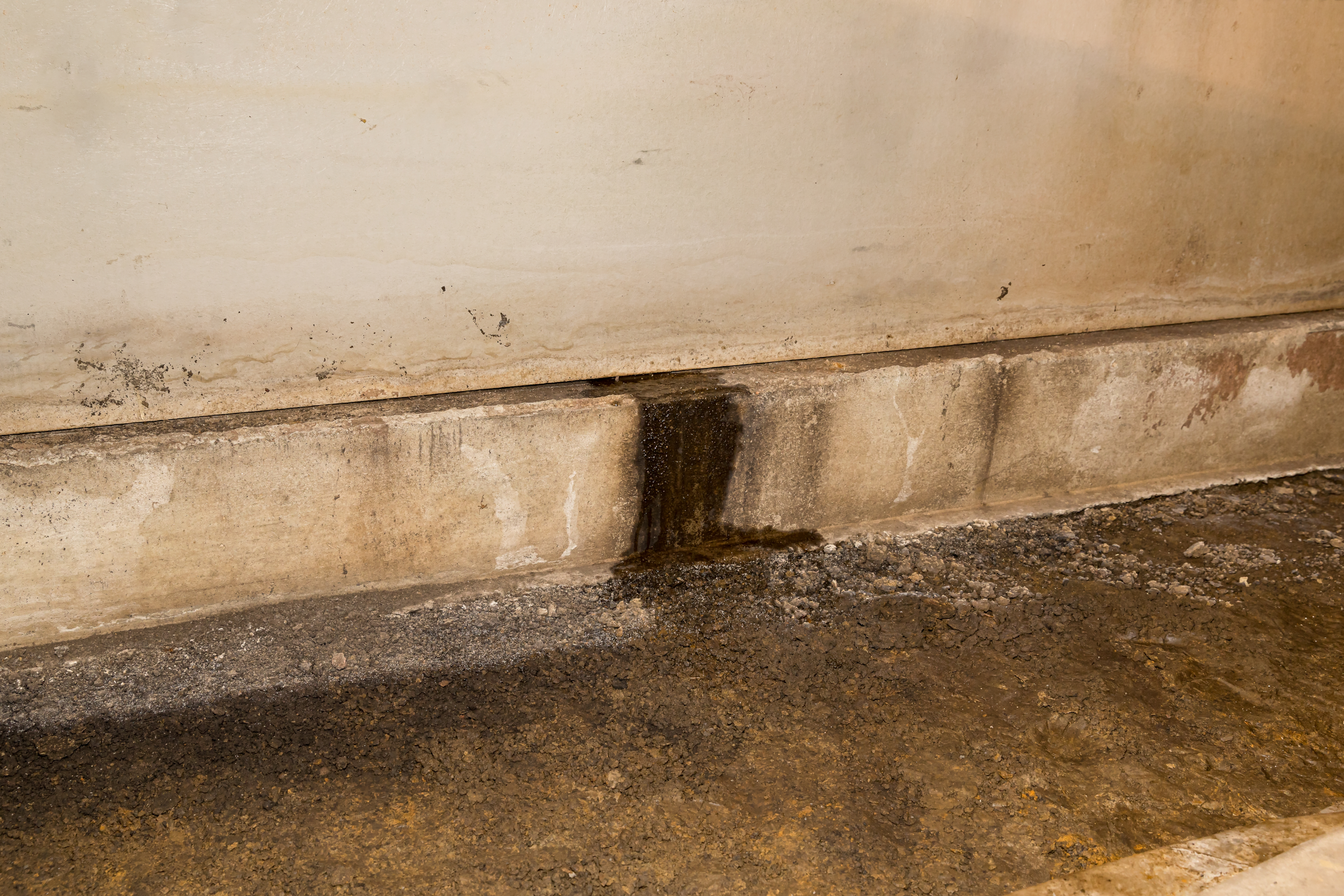                                                              Water Damage Through Foundation