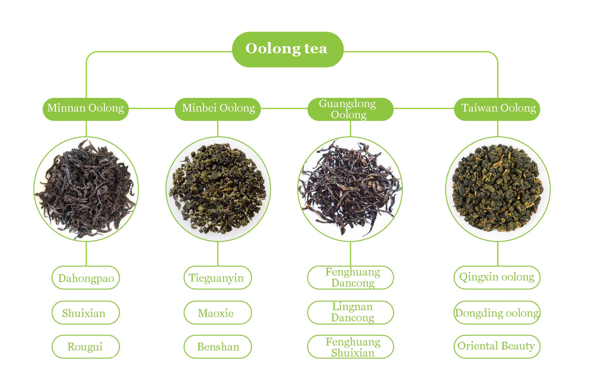 Popular Types of Oolong Tea