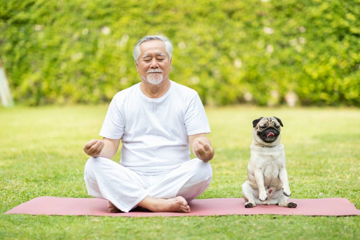 An elderly man and his pug sit on a yoga mat outdoors, both appearing to meditate, showing How to Use Meditation for Dogs in a garden setting