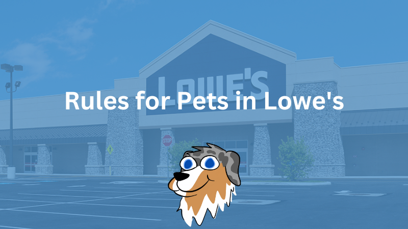 Rules for Pets in Lowe's