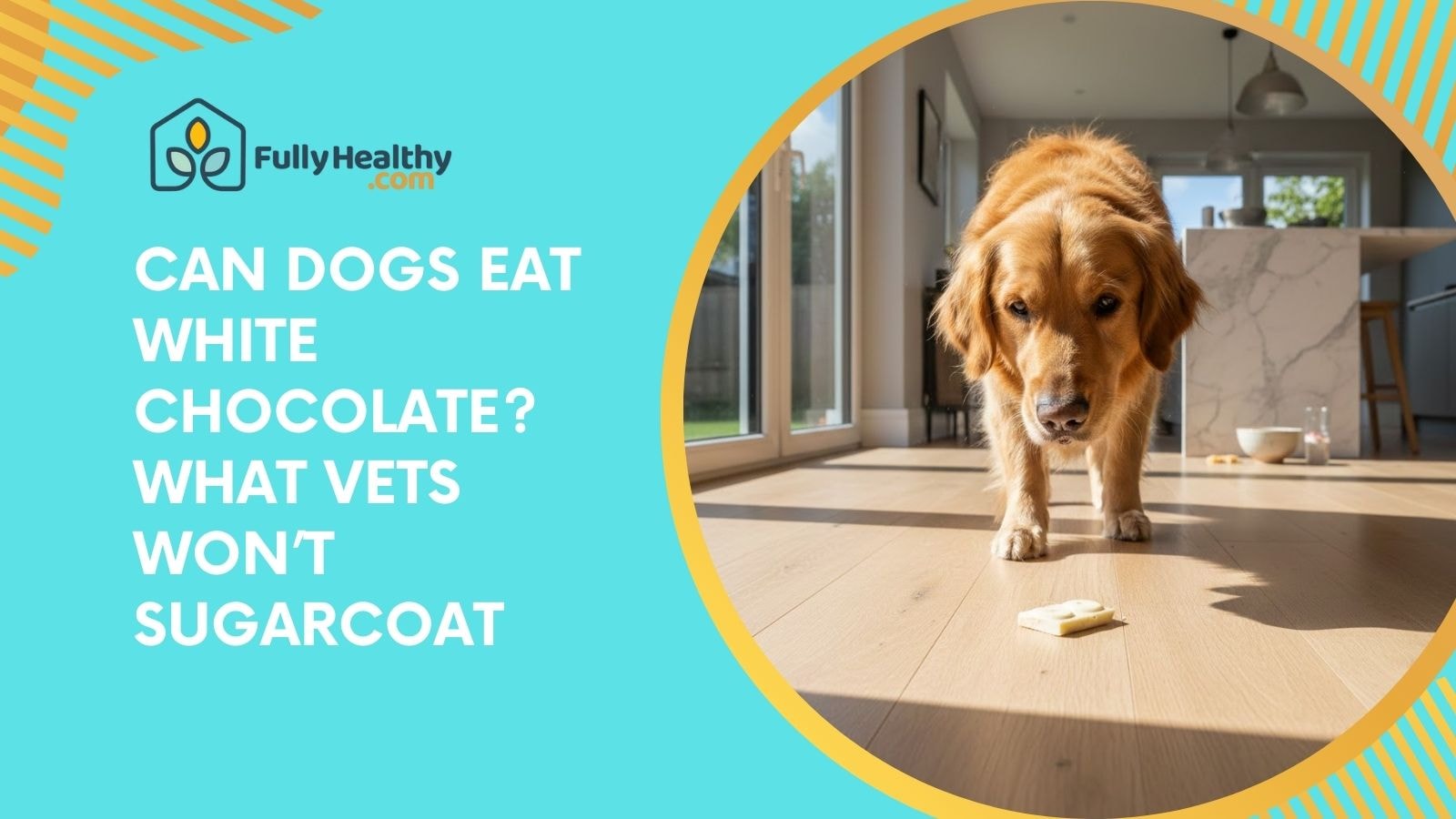 Can Dogs Eat White Chocolate? What Vets Won’t Sugarcoat