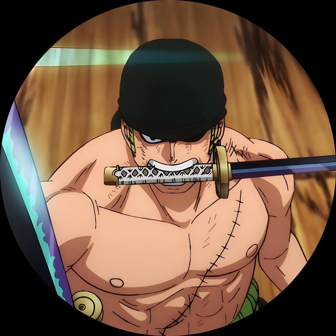 One Piece Pfp 40 Profile Pictures For Fans Last Stop Anime 4138