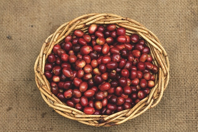 Explore the World of Coffee Roasters Local in Colombia: A Gastronomic Tour with 9 coffee, coffee beans, basket, woven basket, gayo coffee, red beans, sumatra coffee, top view, caffeine, coffee, coffee, coffee, coffee beans, coffee beans, coffee beans, coffee beans, coffee beans, basket, red beans