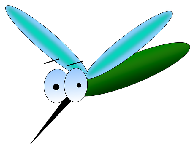 mosquito, sting, dragonfly