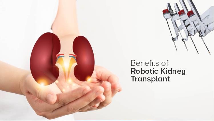 Robot Assisted Kidney Transplantation