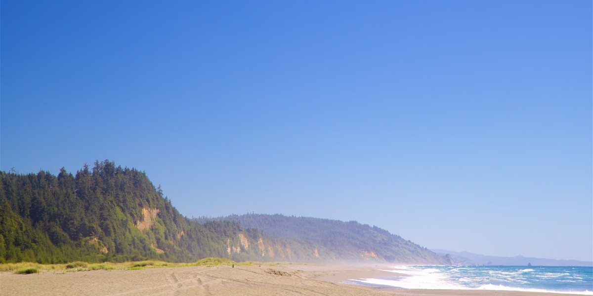 Gold Bluffs Beach