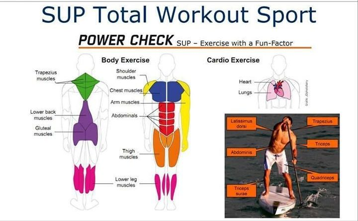 How SUP is a total workout