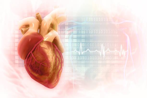 can ecg detect heart problems | holter monitor | past heart attacks | electrical impulses | heart tests | heart structure | heart beats | ekg test | exercise bike | healthy heart | sinus rhythm | exercise ecg | heart symptoms | ecg records | test results | noninvasive test | unexplained fatigue | wave pattern | heart specialist  |