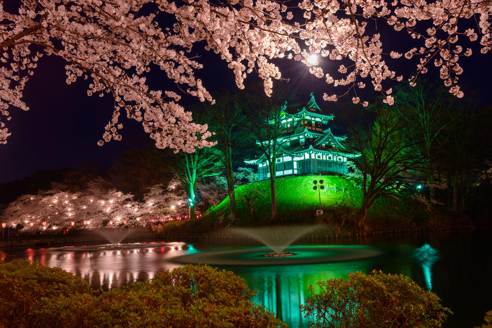 Takada Castle Site Sakura Park