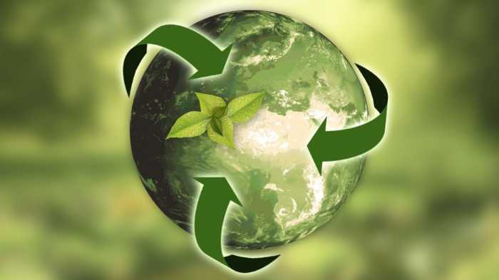 Main principles of sustainability
